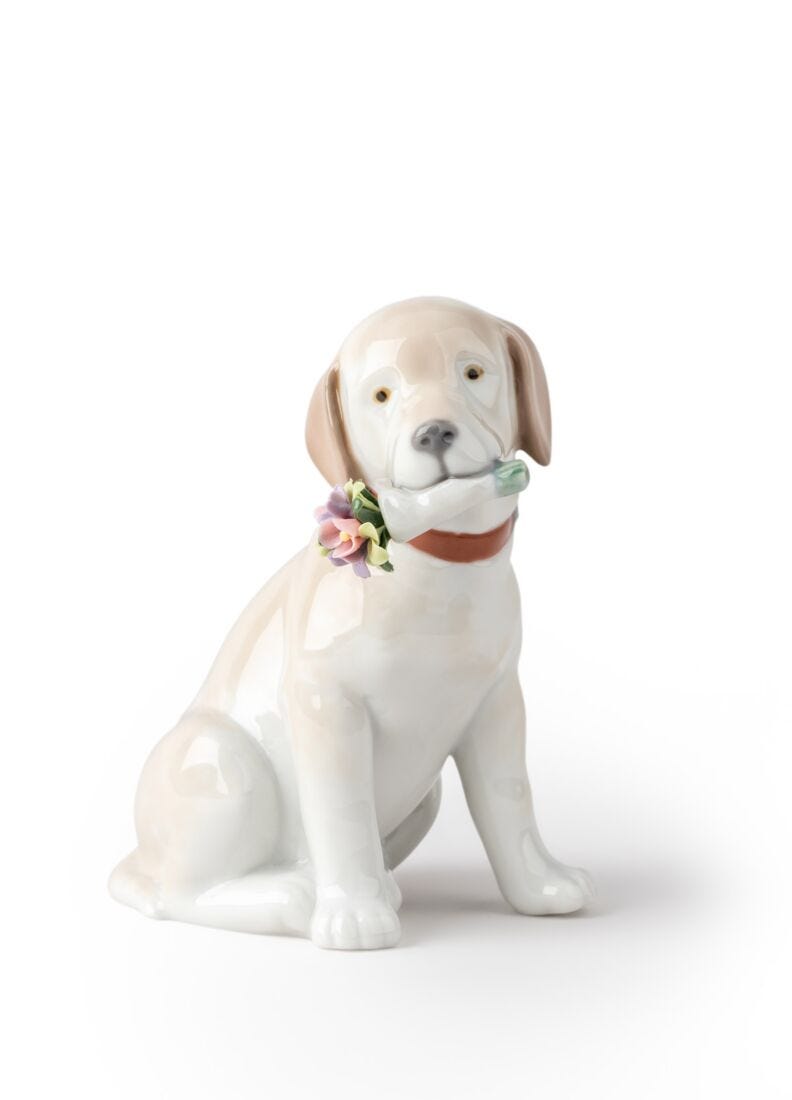 This Bouquet Is for You Dog Figurine in Lladró