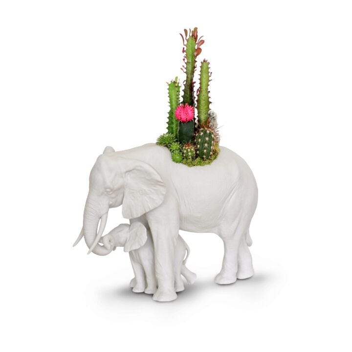 Elephant garden Sculpture. Matte White. Plant the Future in Lladró