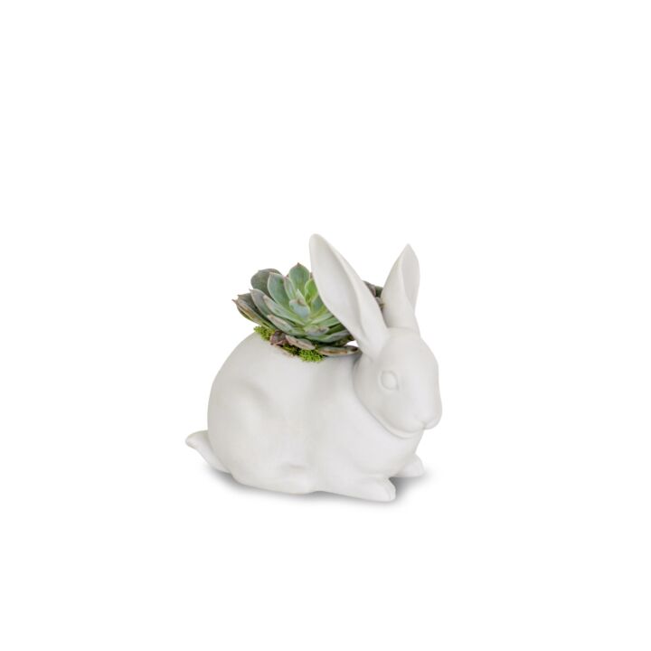 Bunny Garden Figurine. Matte White. Plant the Future in Lladró