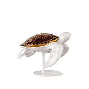 Sea Turtle II (white - copper) Sculpture