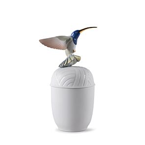 Hummingbird box