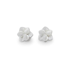 Pendientes botón Orquídea