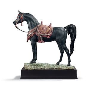 Arabian Pure Breed Horse Sculpture. Limited Edition