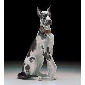 GREAT DANE