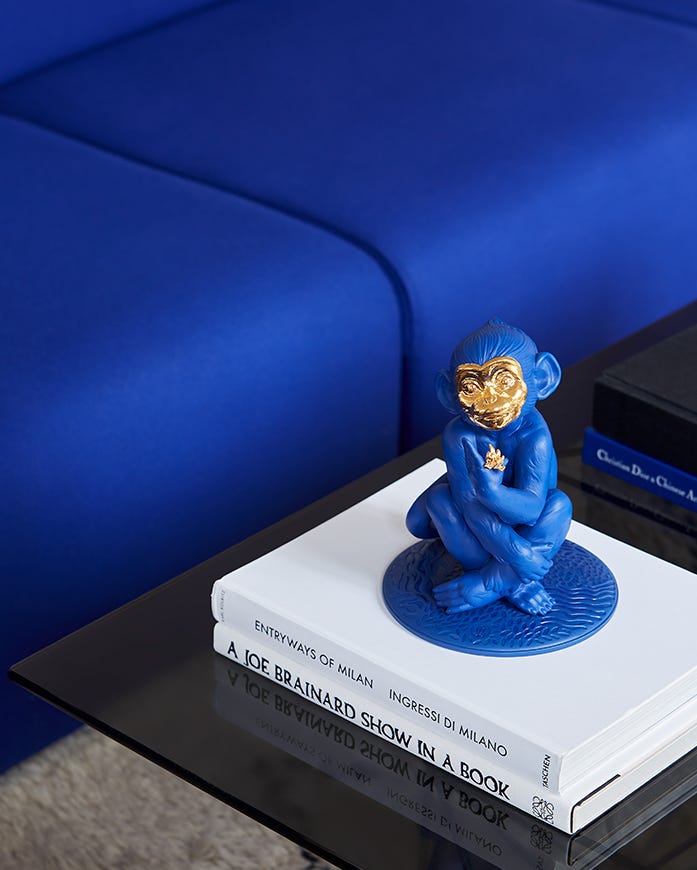 Little Monkey boldblue at the Enric Pastor's house