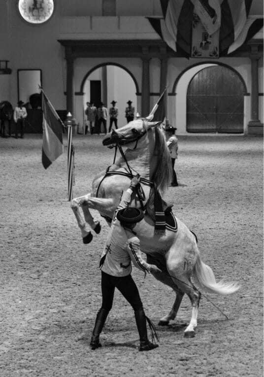 Virtuosismo caballo español