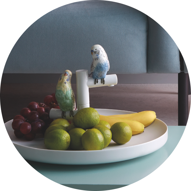 Parrot Romantic Plate