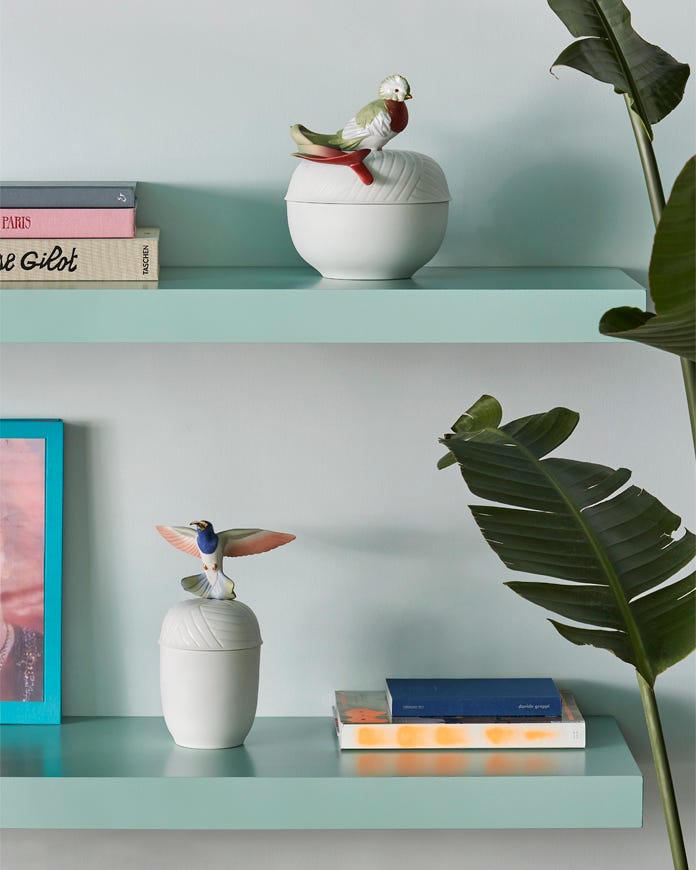 Bird boxes decorating a modern book shelfs